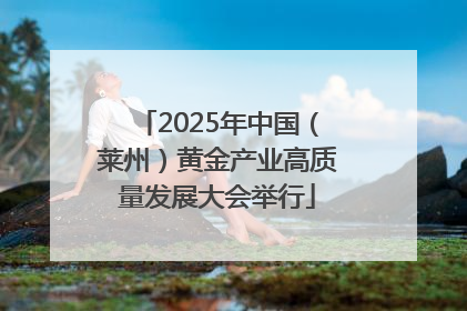 2025年中国（莱州）黄金产业高质量发展大会举行